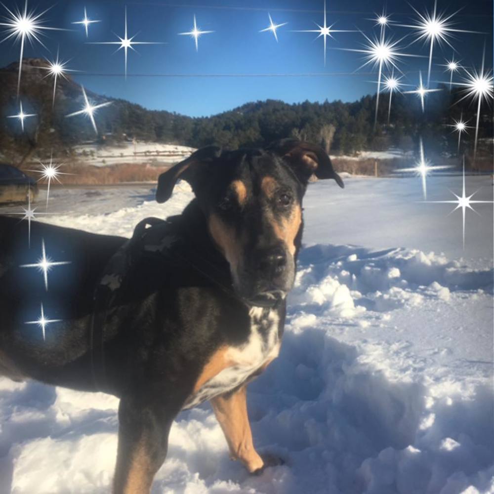 Meet your Posher, Renee